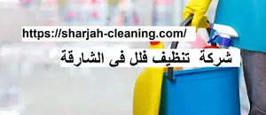 شركة تنظيف فلل فى الشارقة