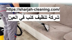 شركة تنظيف كنب في العين