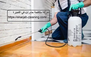 شركة مكافحة حشرات في الفجيرة