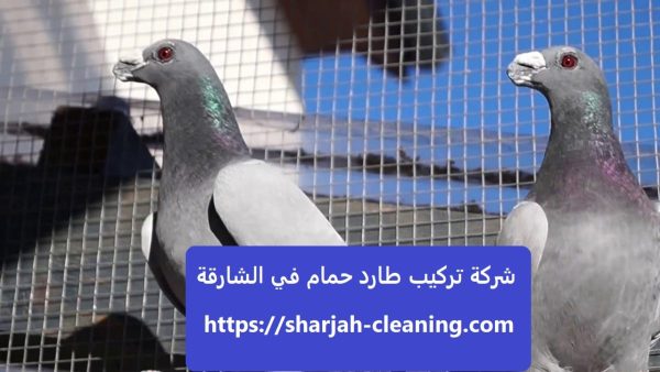 شركة تركيب طارد حمام في الشارقة