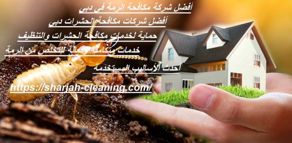 أفضل شركة مكافحة الرمة في دبي
