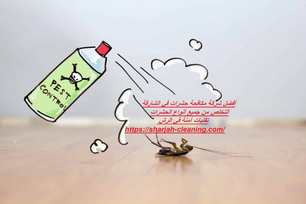أفضل شركة مكافحة حشرات في الشارقة