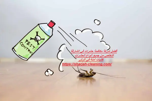 أفضل شركة مكافحة حشرات في الشارقة