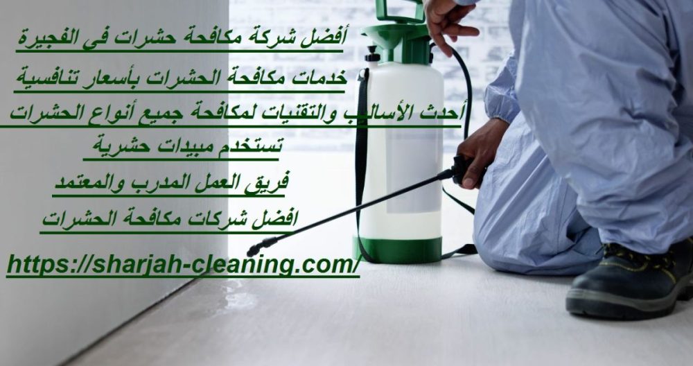 أفضل شركة مكافحة حشرات في الفجيرة