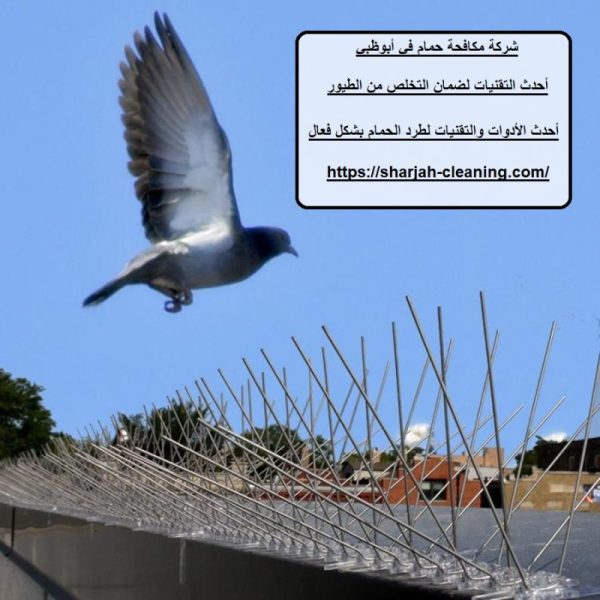 شركة مكافحة حمام في أبوظبي