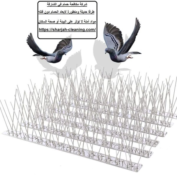 شركة مكافحة حمام في الشارقة