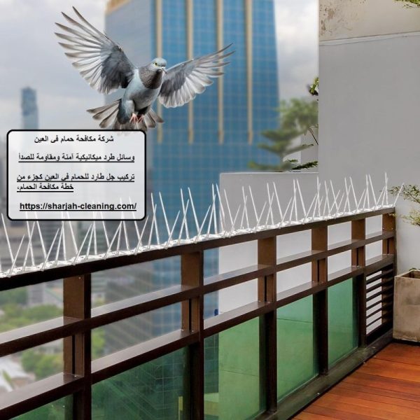 شركة مكافحة حمام في العين