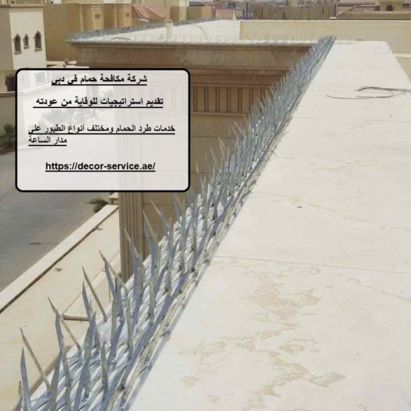 شركة مكافحة حمام في دبي