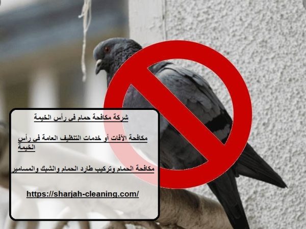 شركة مكافحة حمام في رأس الخيمة